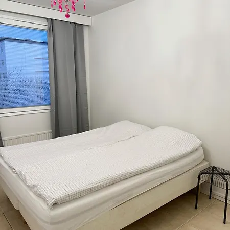 Hhh Newly Renovated Big 4-bedroom With Balcony, Free Parking For 2 Cars Helsinki